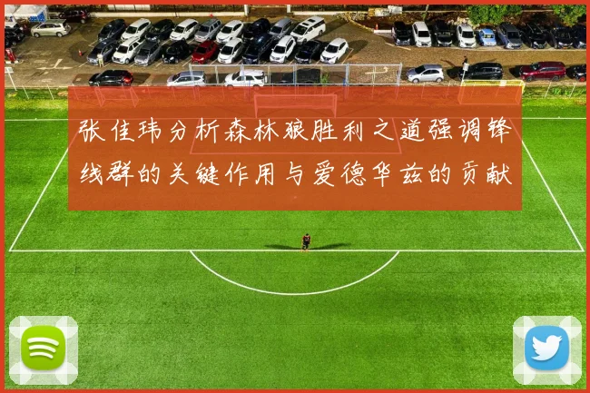张佳玮分析森林狼胜利之道强调锋线群的关键作用与爱德华兹的贡献